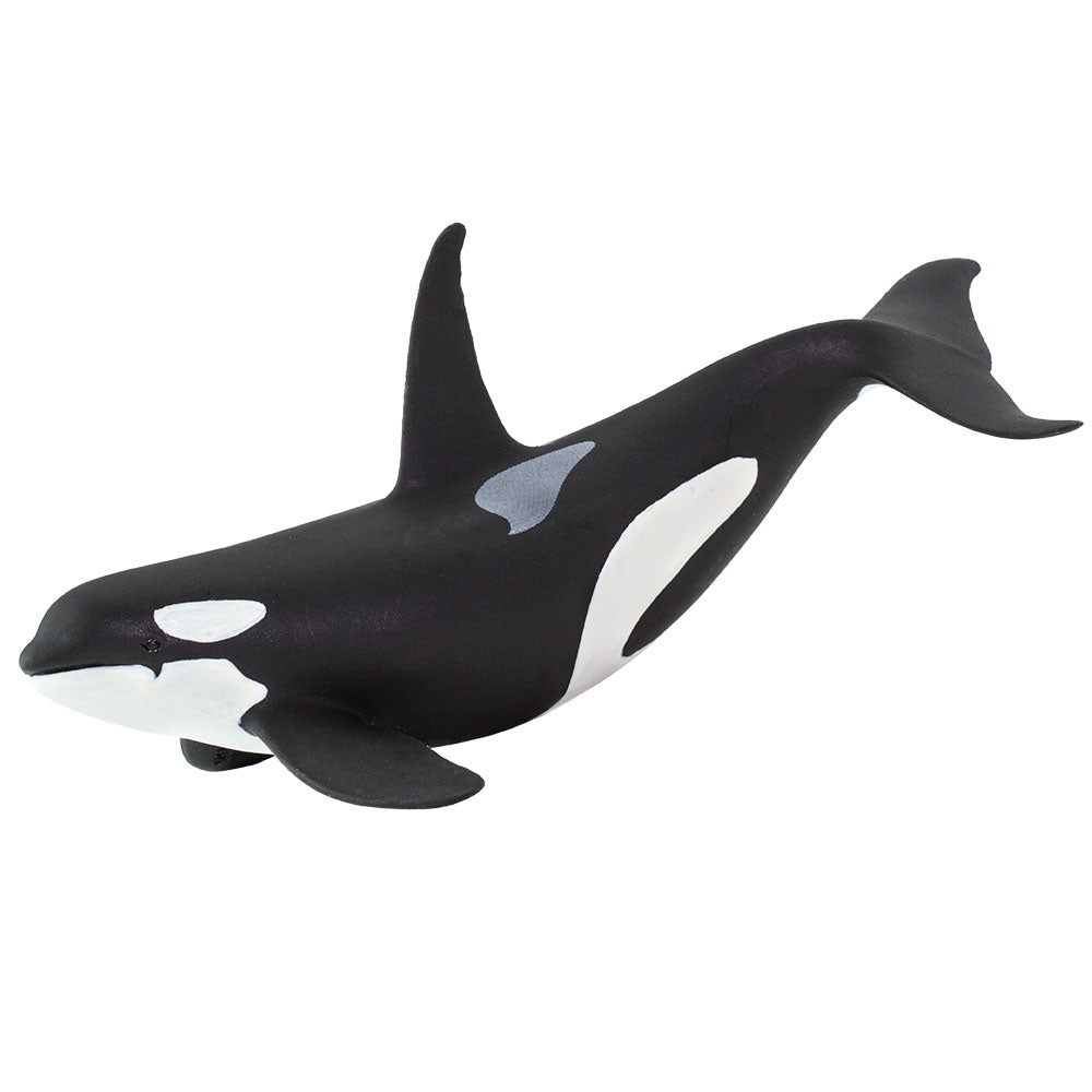 15/0 Fin-Nor CT model - Reel Talk - ORCA