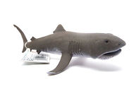 Megamouth Shark – Hobby and Toy Central