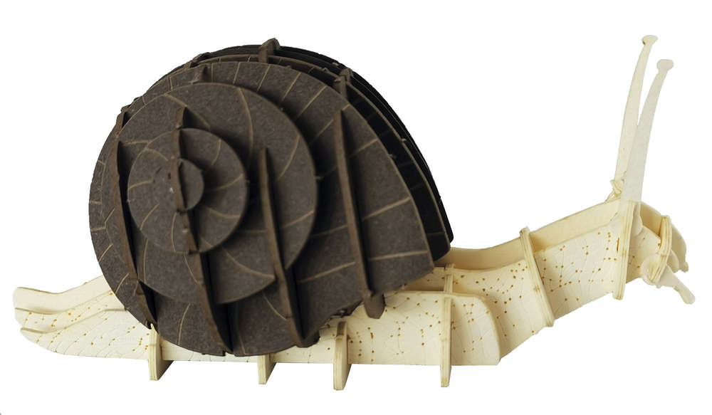 3D Paper Model Snail