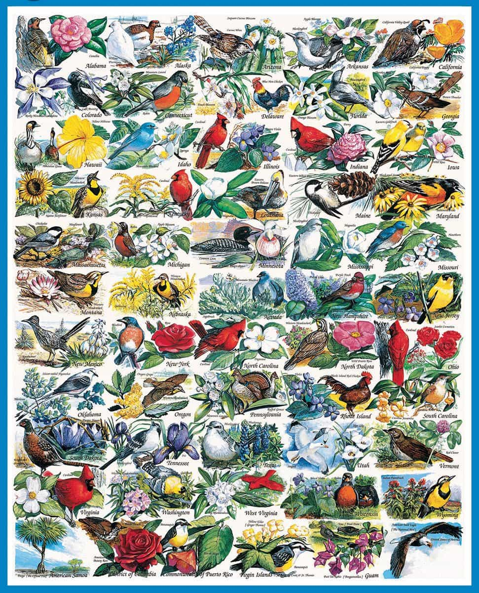 State Birds & Flowers 1000pc