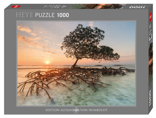 Red Mangrove 1000pc