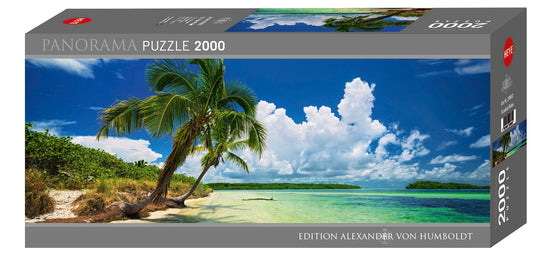 Paradise Palm 2000pc