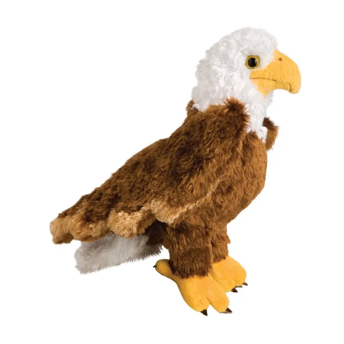 Colbert Bald Eagle