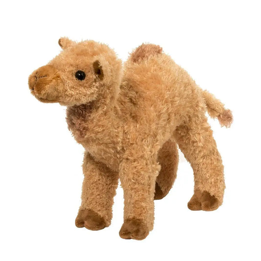 Lawrence Camel