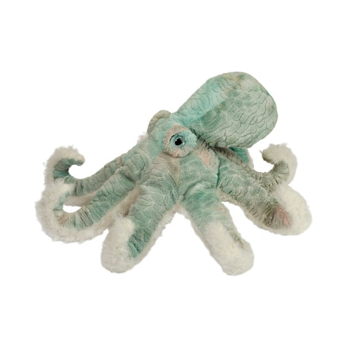 Winona Octopus