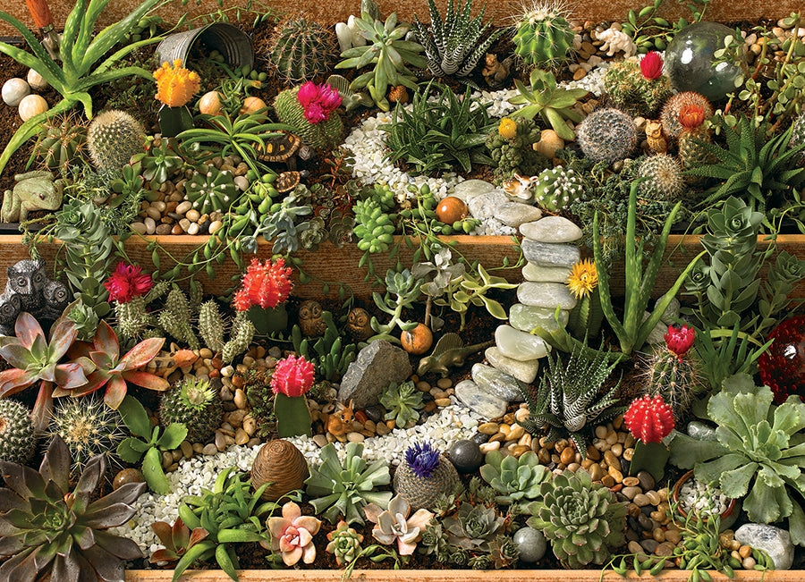 Succulent Garden 1000pc