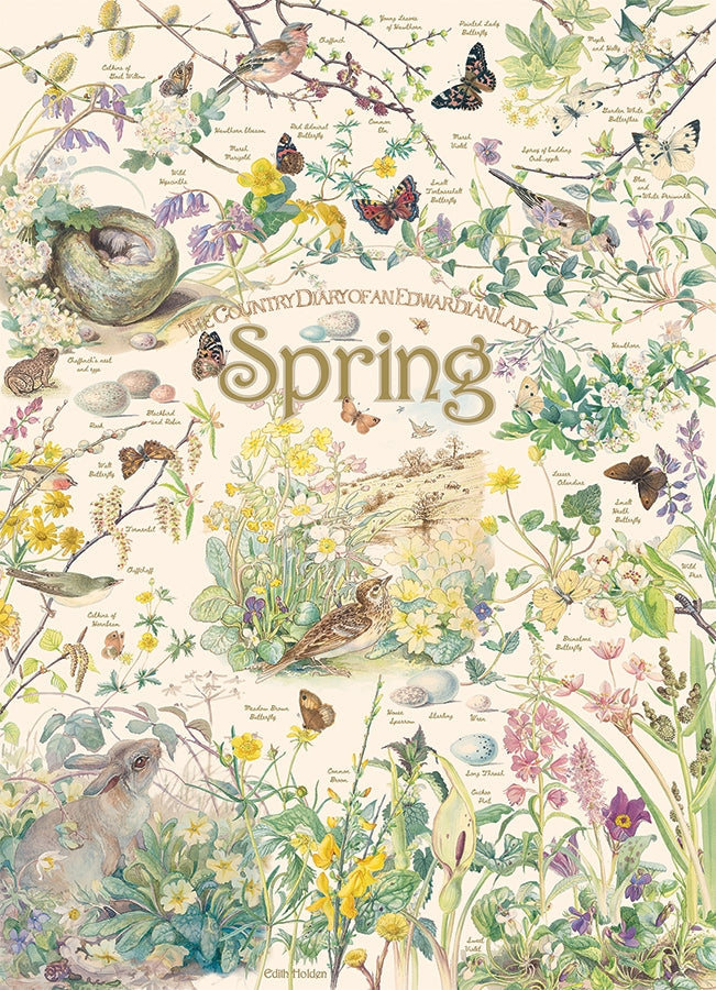 Country Diary: Spring 1000pc