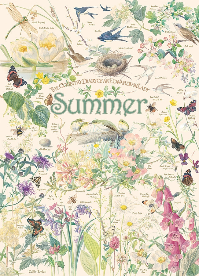 Country Diary: Summer 1000pc