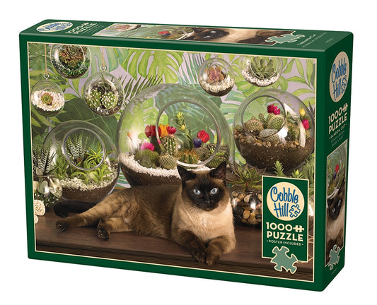 Terrarium Cat 1000pc