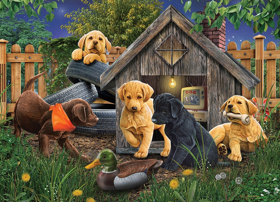 In the Doghouse 1000pc