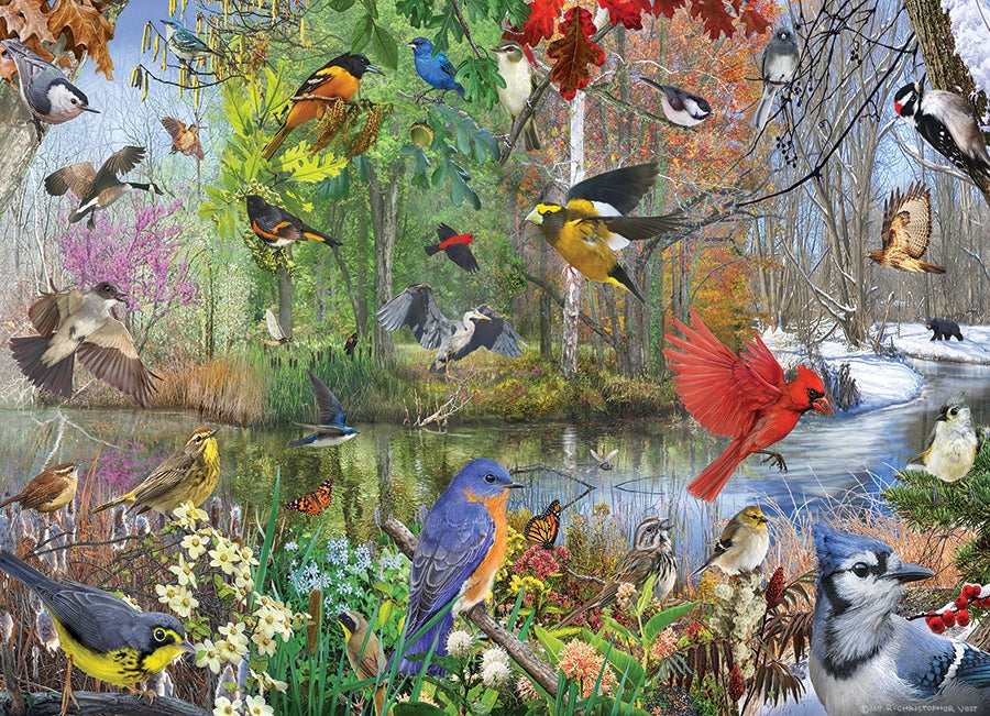 Birds of the Season 1000pc