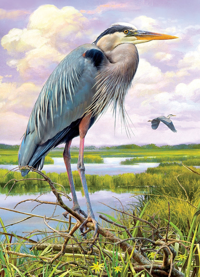 Heron 1000pc