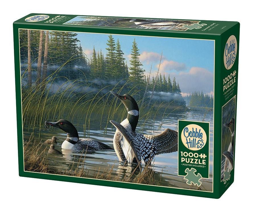 Common Loons 1000pc