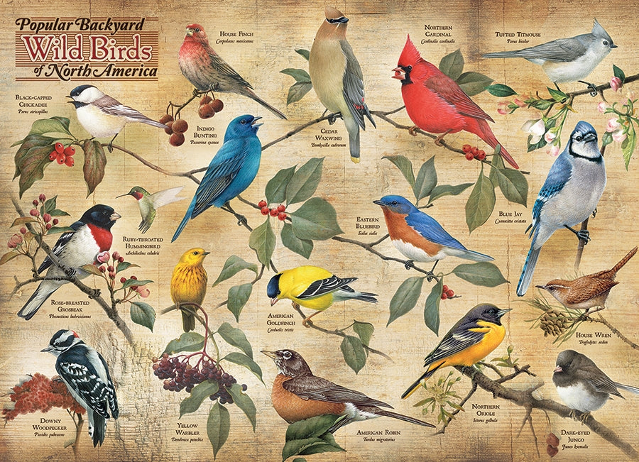 Popular Backyard Wild Birds of North America 1000pc