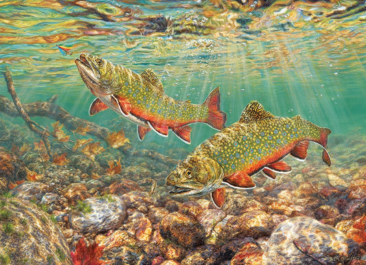 Brook Trout 1000pc