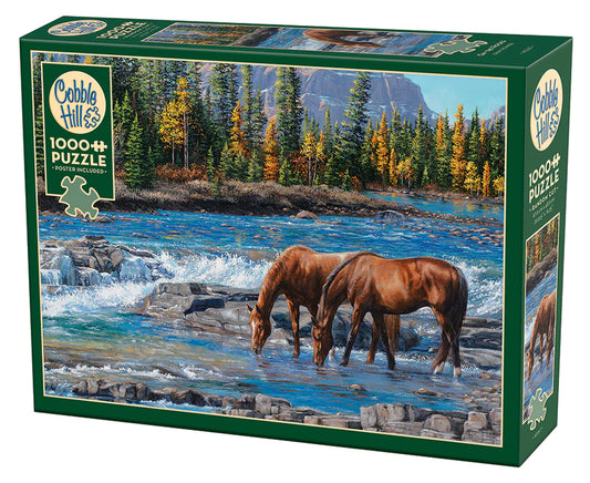 On the Rocks 1000pc