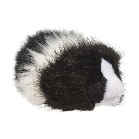 Angora  Black & White Guinea Pig