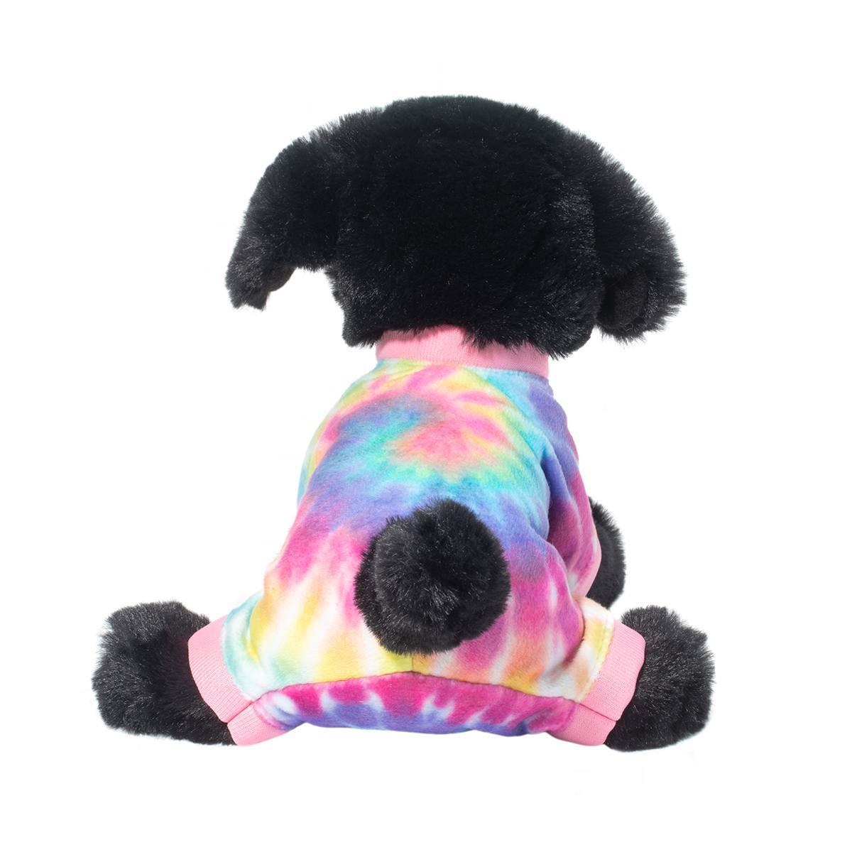 Hattie Black Lab with PJ's