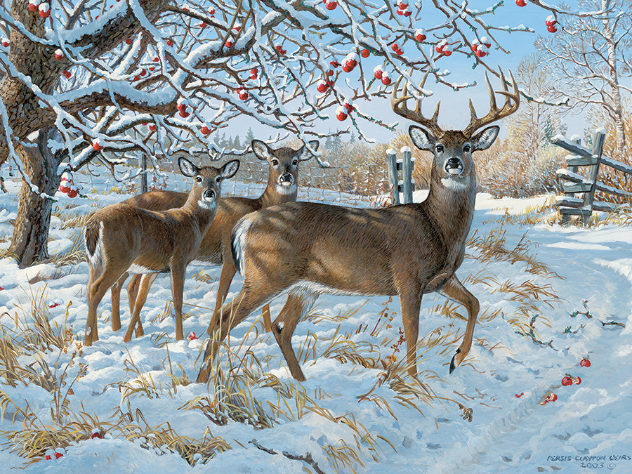 Winter Deer 500pc