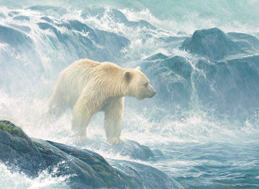 Salmon Watch - Spirit Bear 500pc