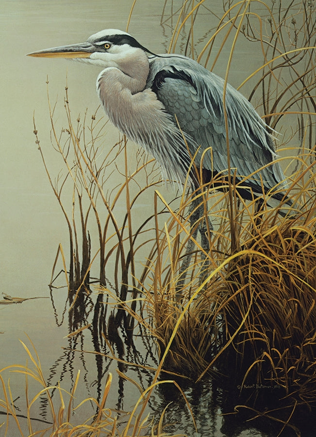 Great Blue Heron 500pc