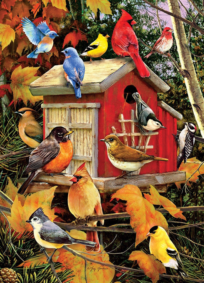 Fall Birdhouse 500pc