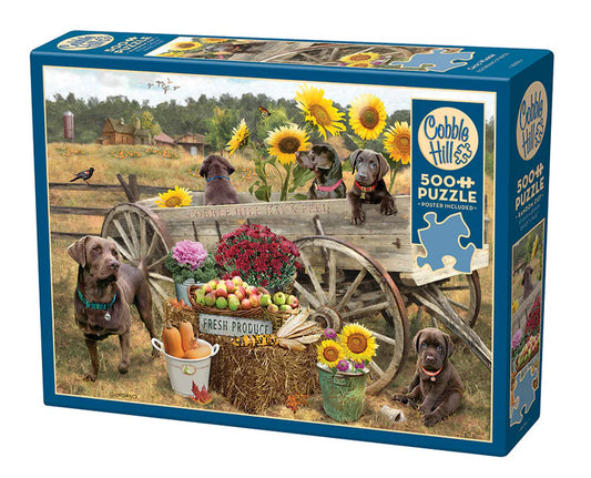 Choc Wagon 500pc