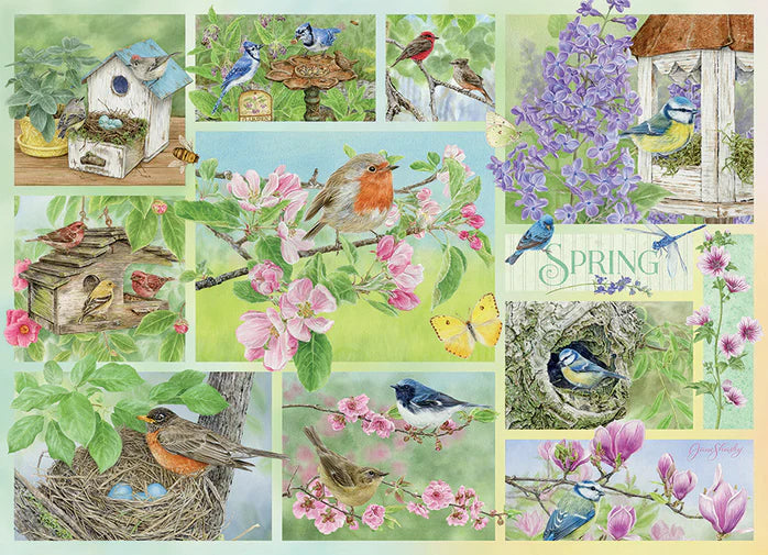 Garden Birds in Spring 500pc