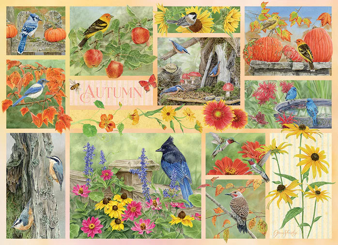 Garden Birds in Autumn 500pc