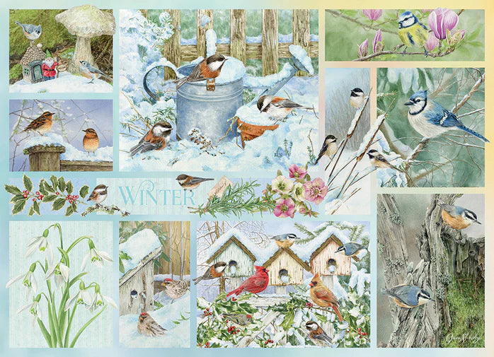 Garden Birds in Winter 500pc