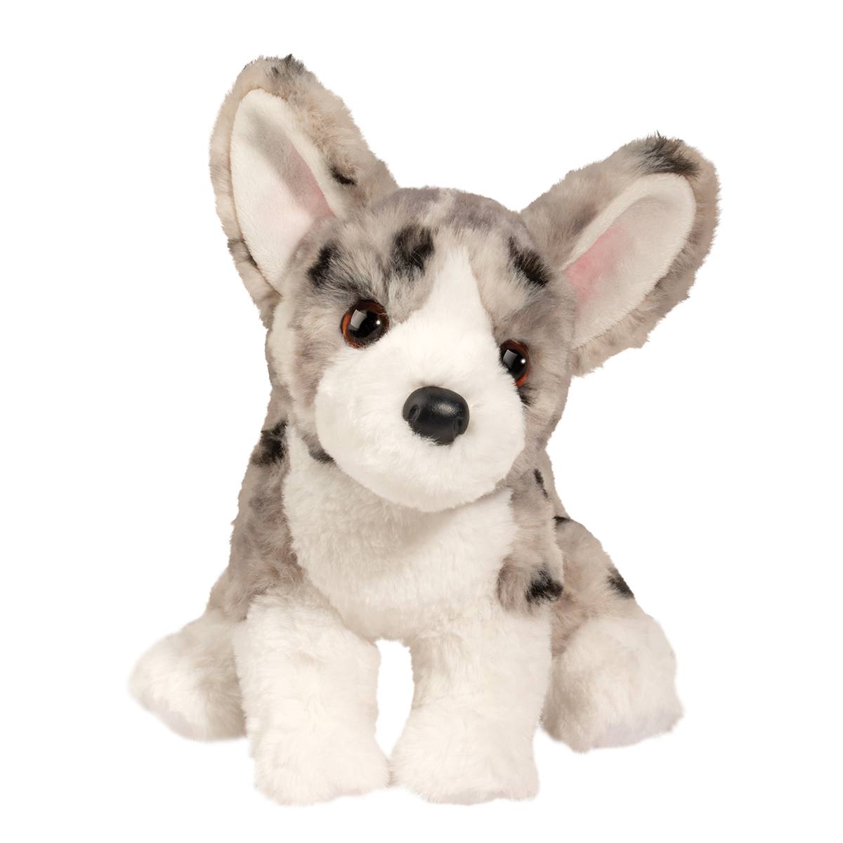 Codie Corgi soft