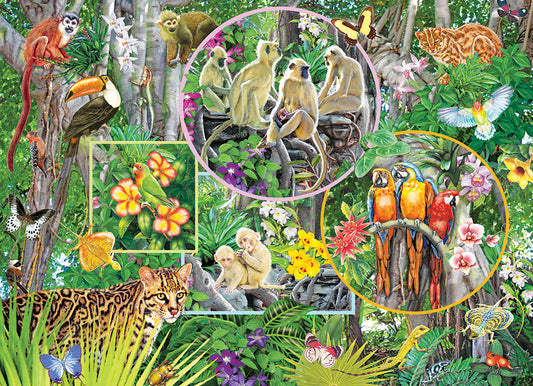 Rainforest Magic Family 350pc