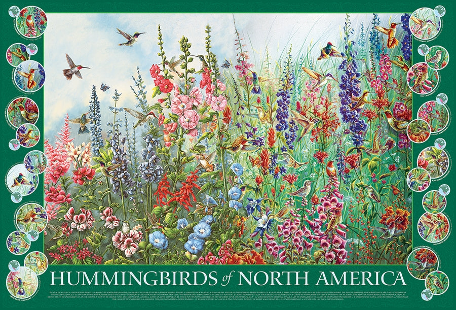 Hummingbirds of North American 2000pc