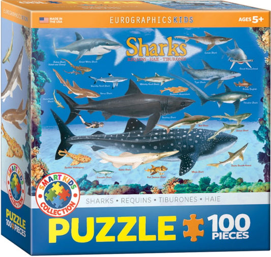 Sharks 100pc