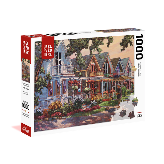 Morning in Oak Bluffs 1000pc