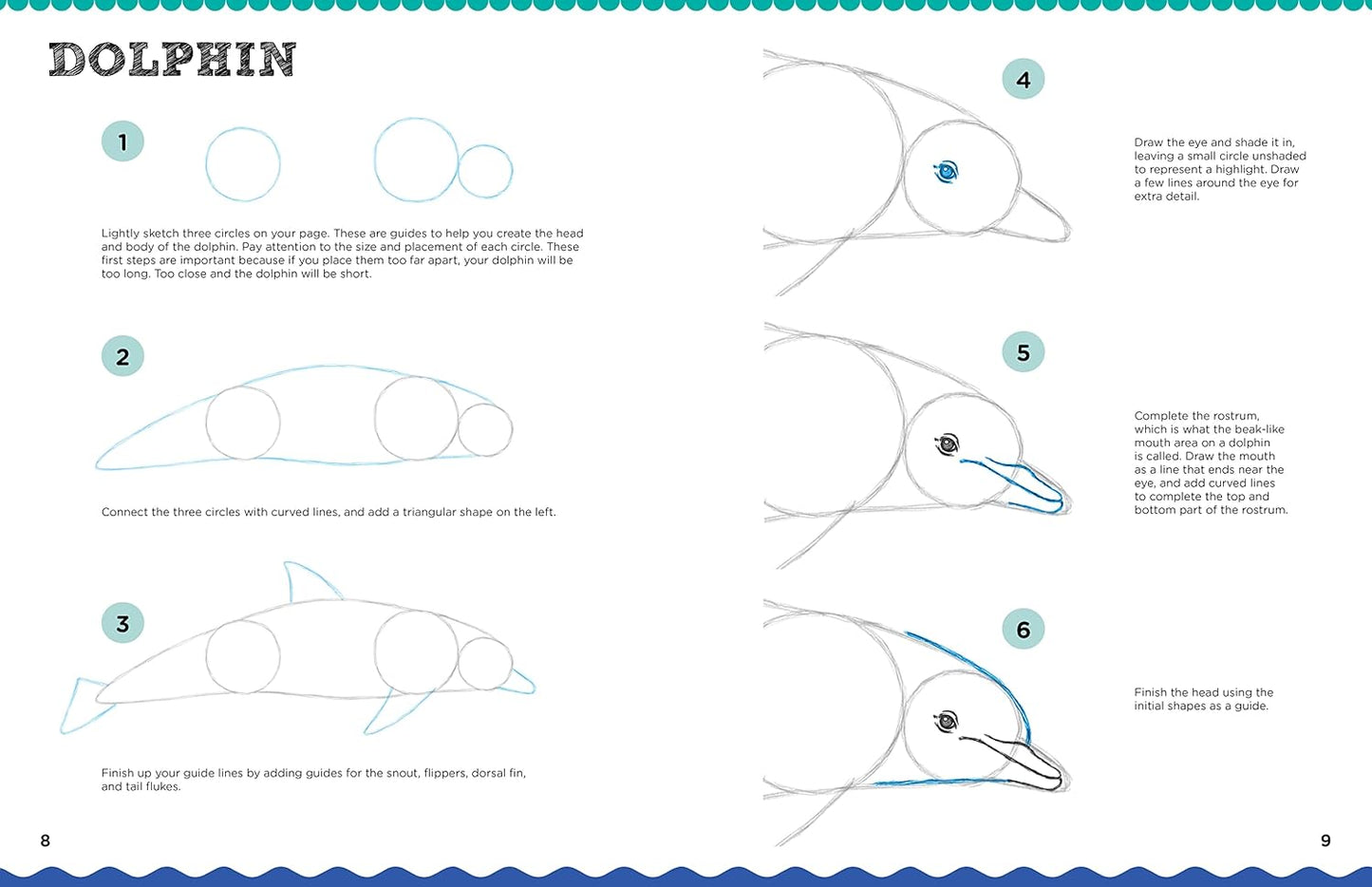 Let's Draw Sea Creatures