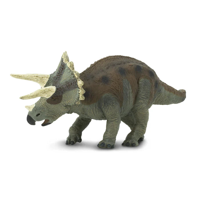 Triceratops