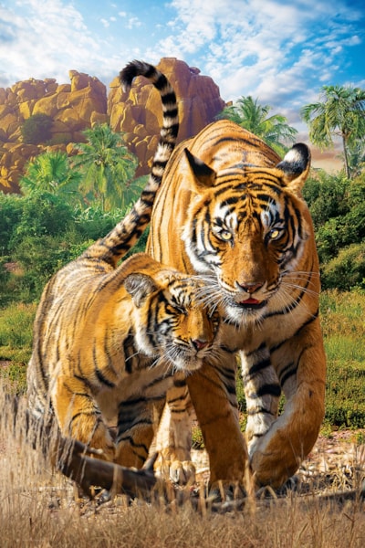 Tigers 250pc