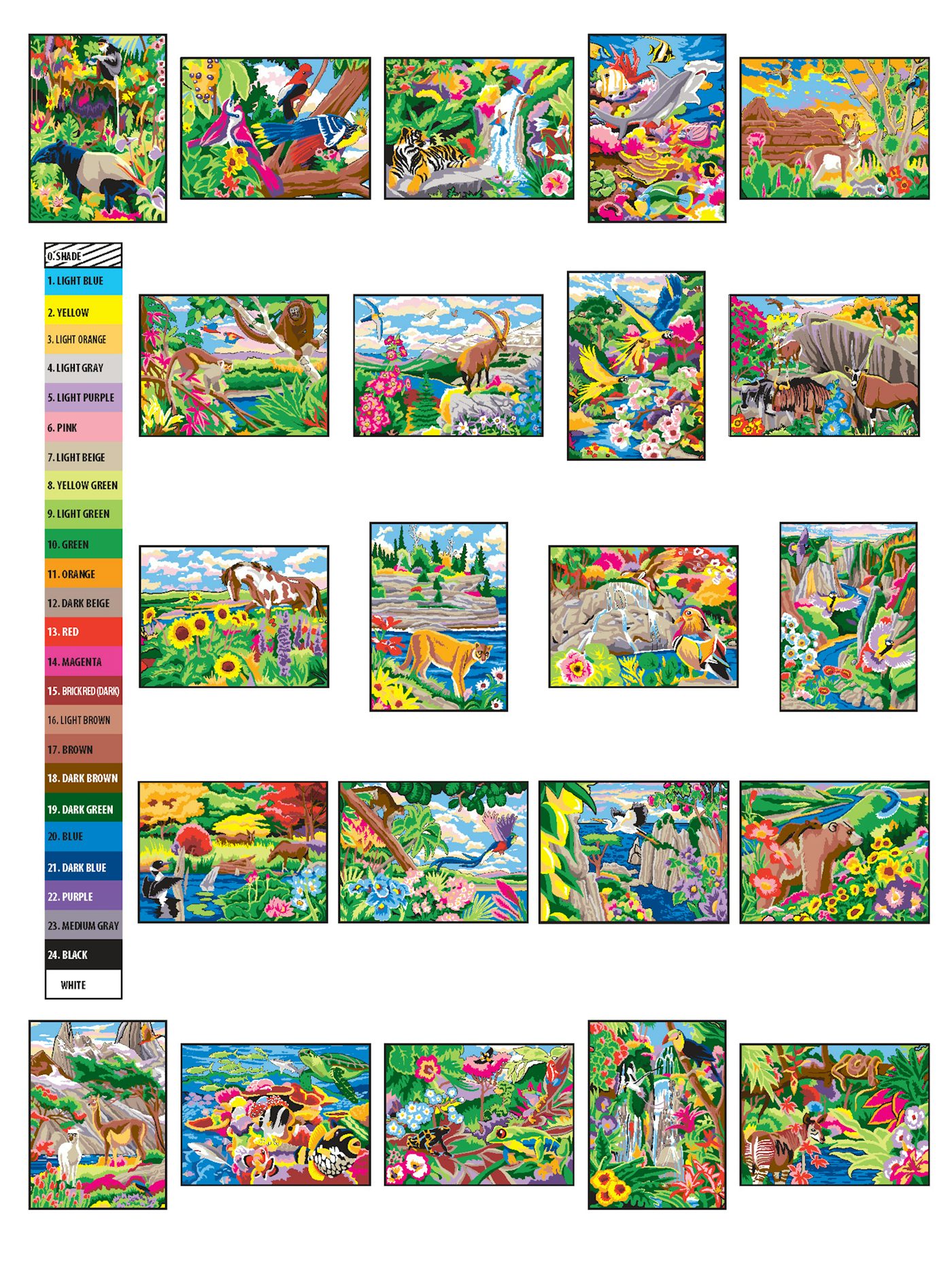 Wonders of Nature Color by Number Book