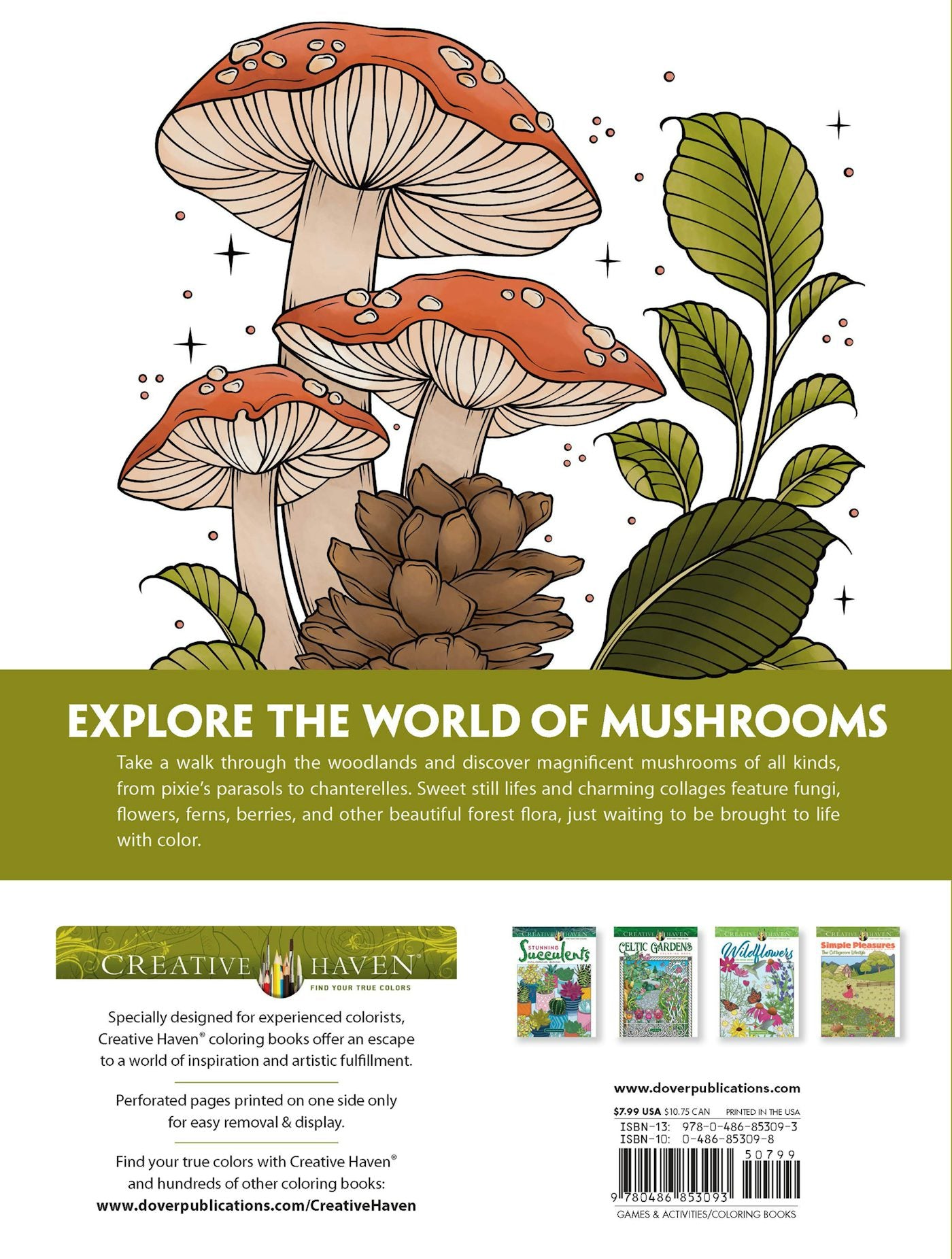 The Art Of Mushrooms Coloring book