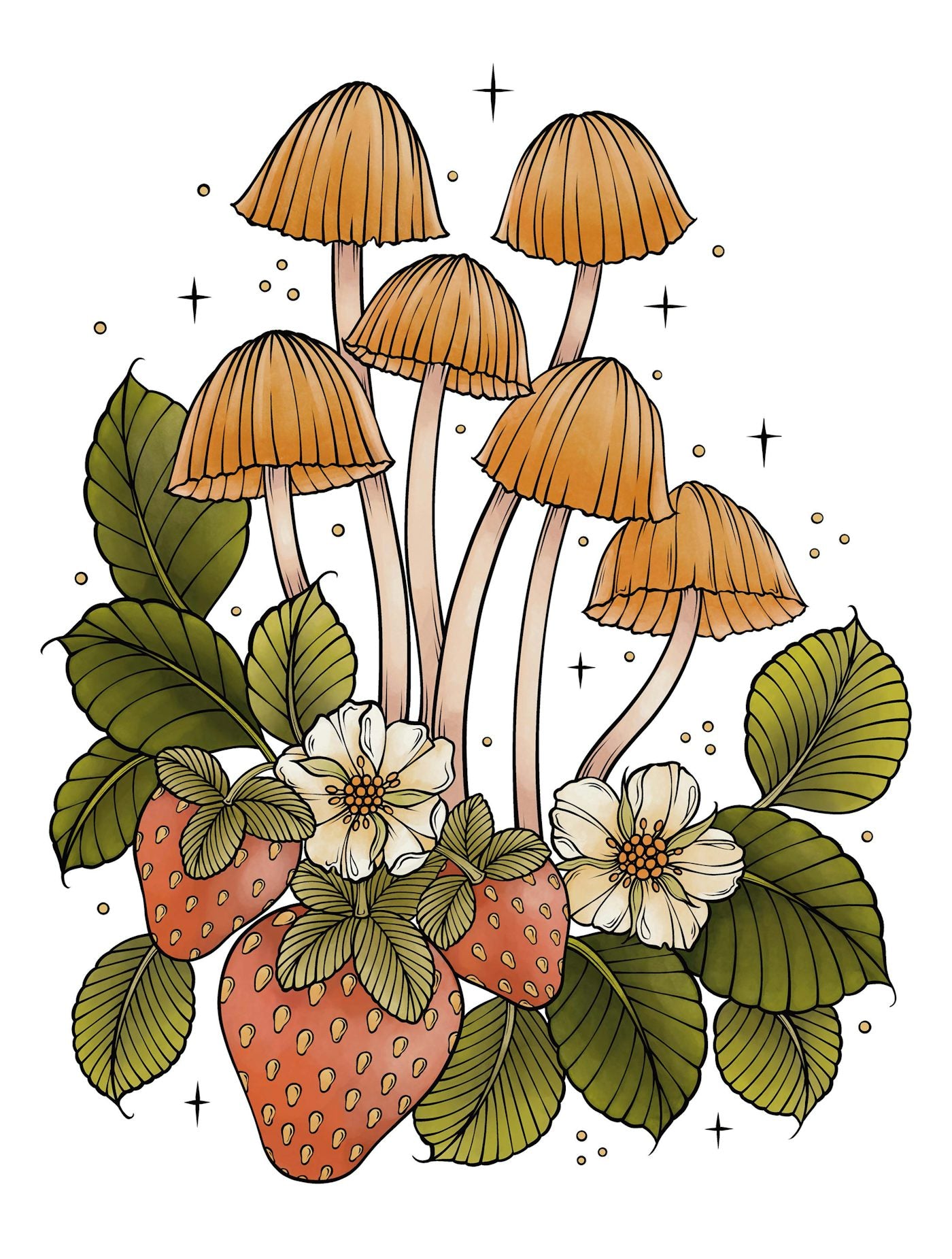 The Art Of Mushrooms Coloring book