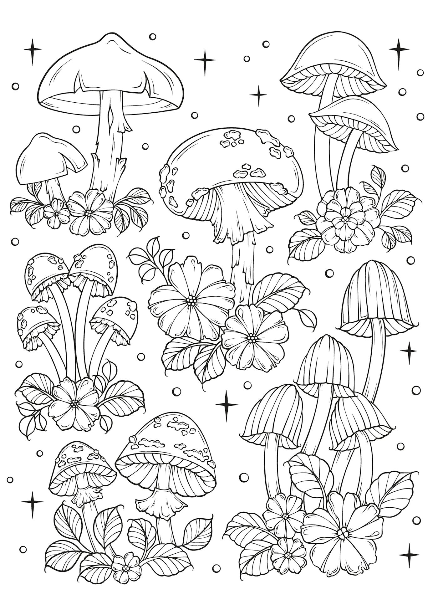 The Art Of Mushrooms Coloring book