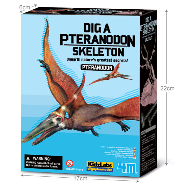 Dig A Pteranodon Skeleton