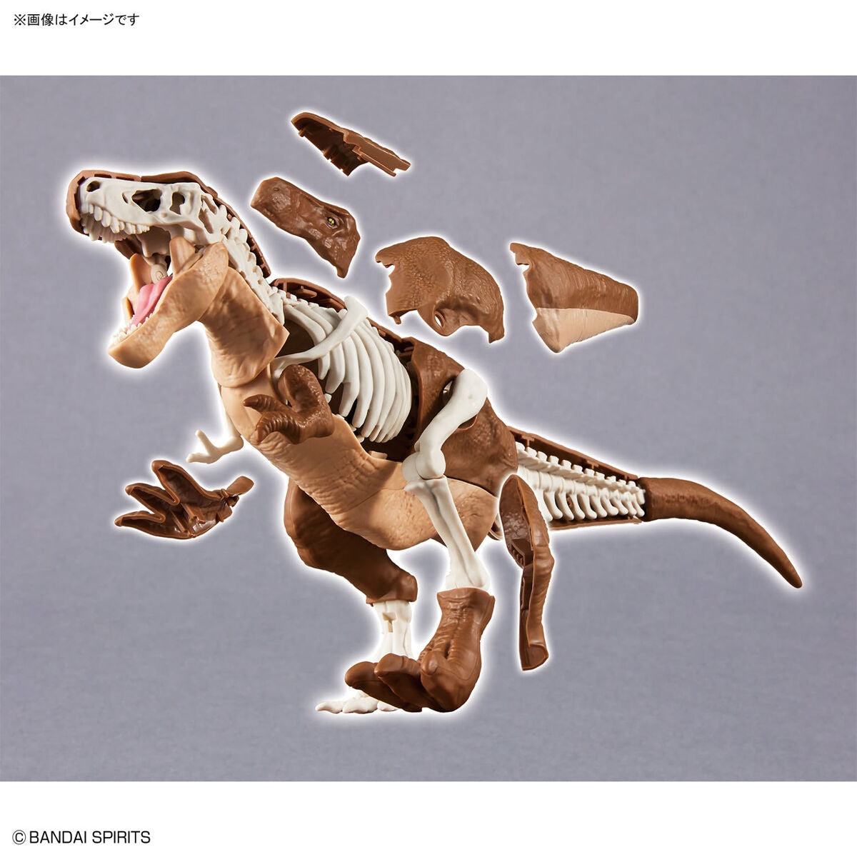 Dinosaur Plastic Model Kit Tyrannosaurus