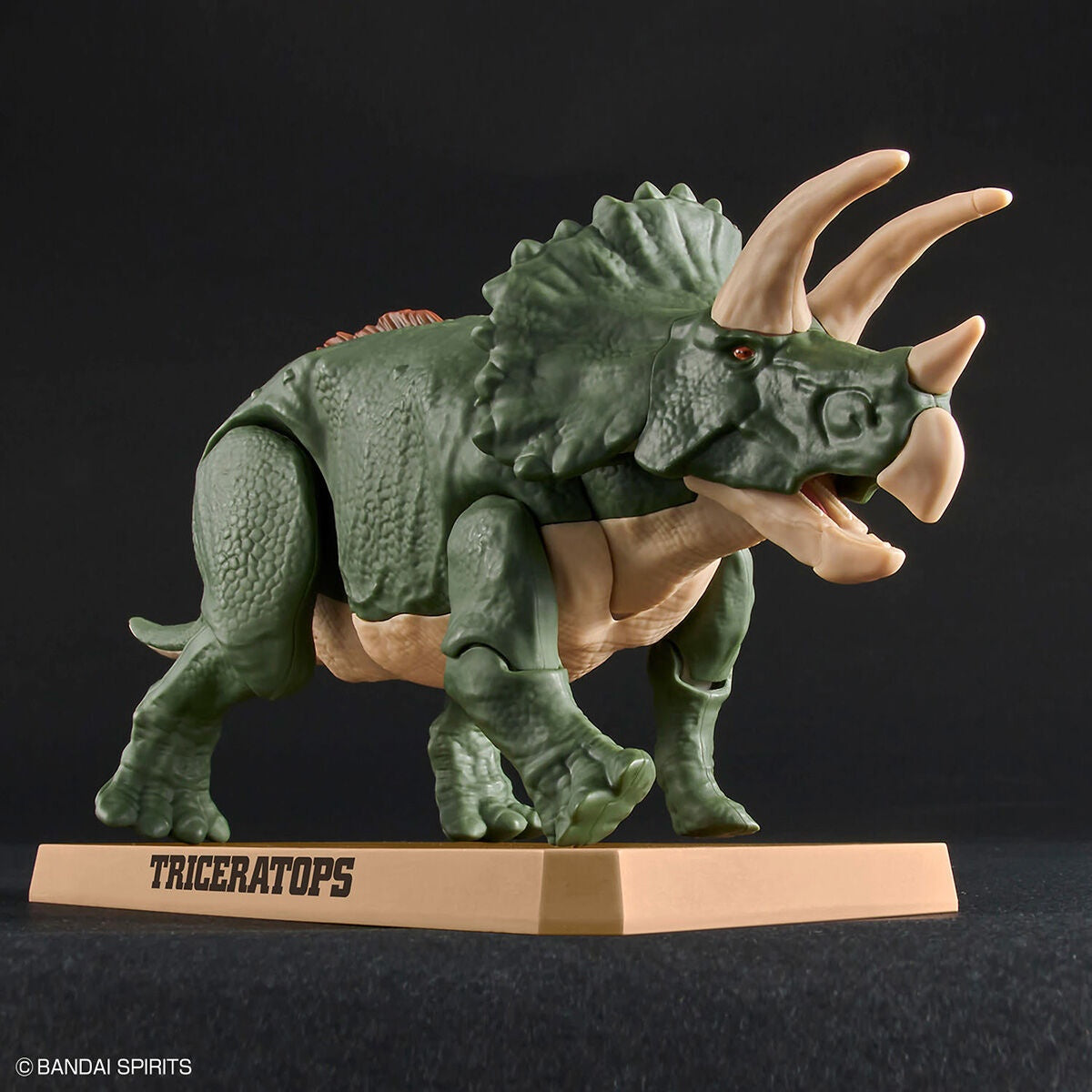 Plastic Model Kit Triceratops