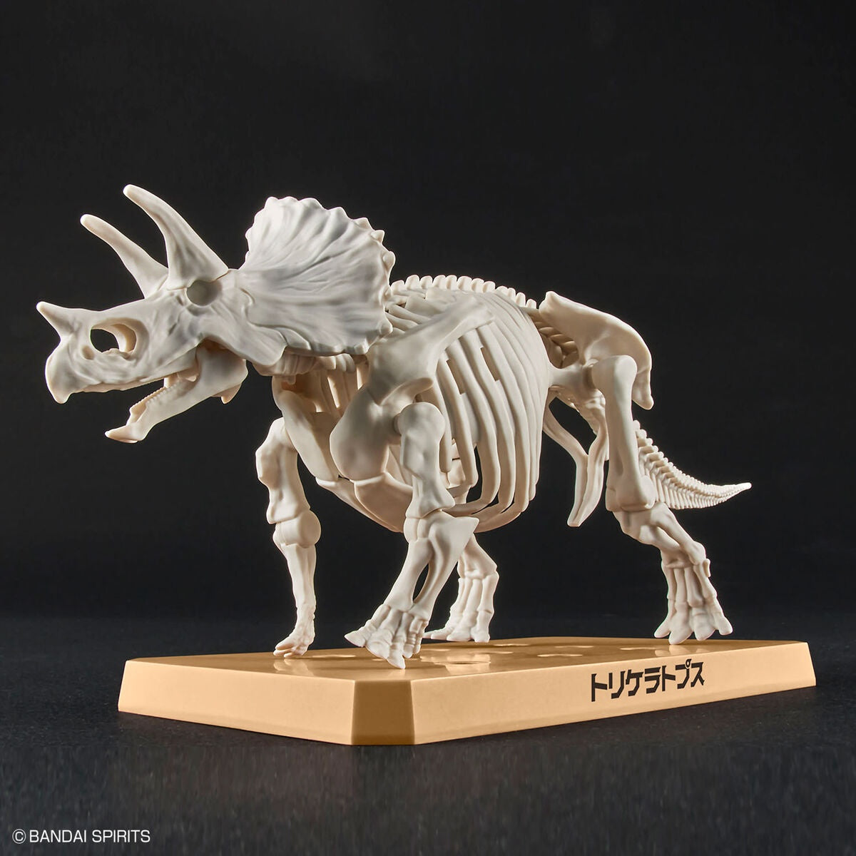 Plastic Model Kit Triceratops