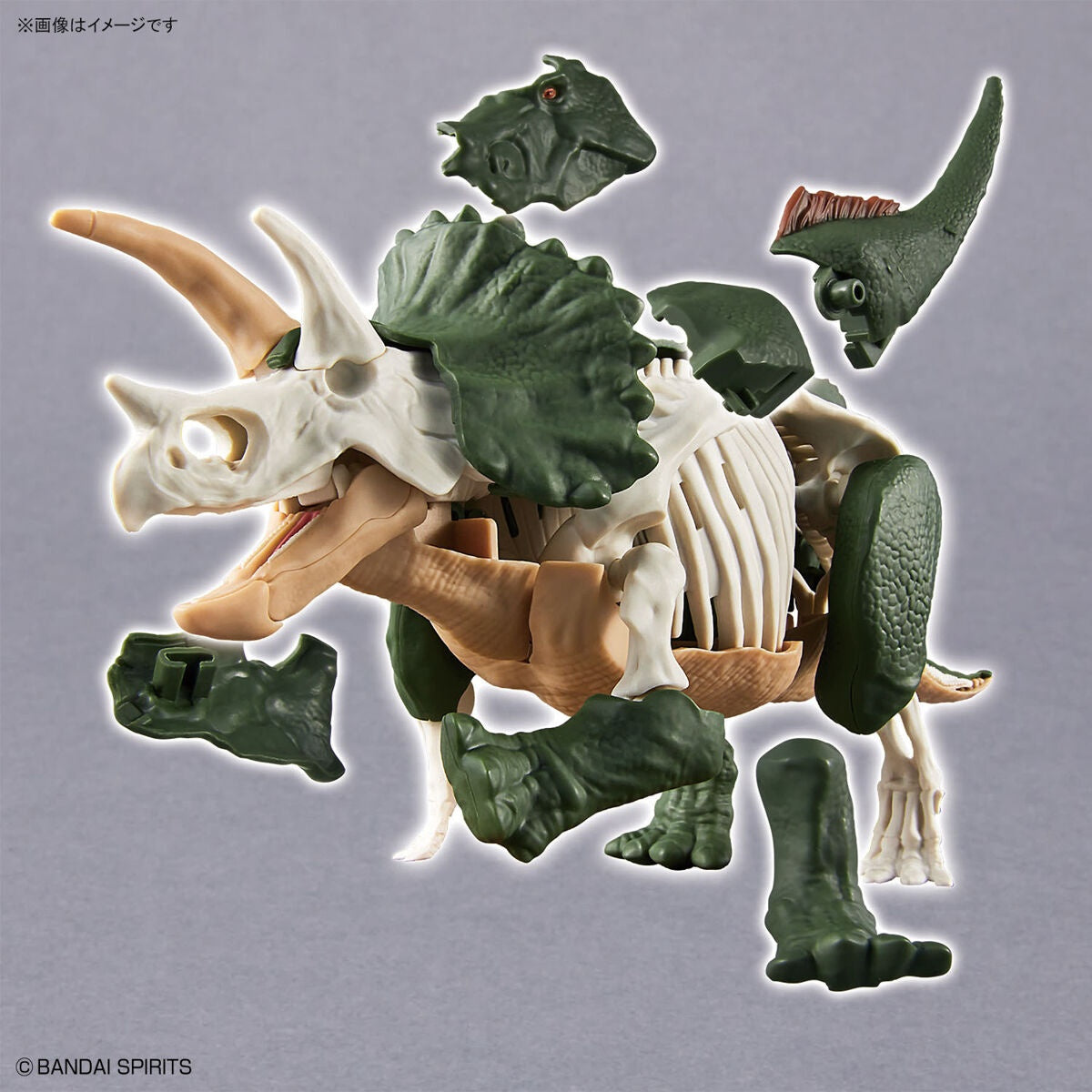 Plastic Model Kit Triceratops