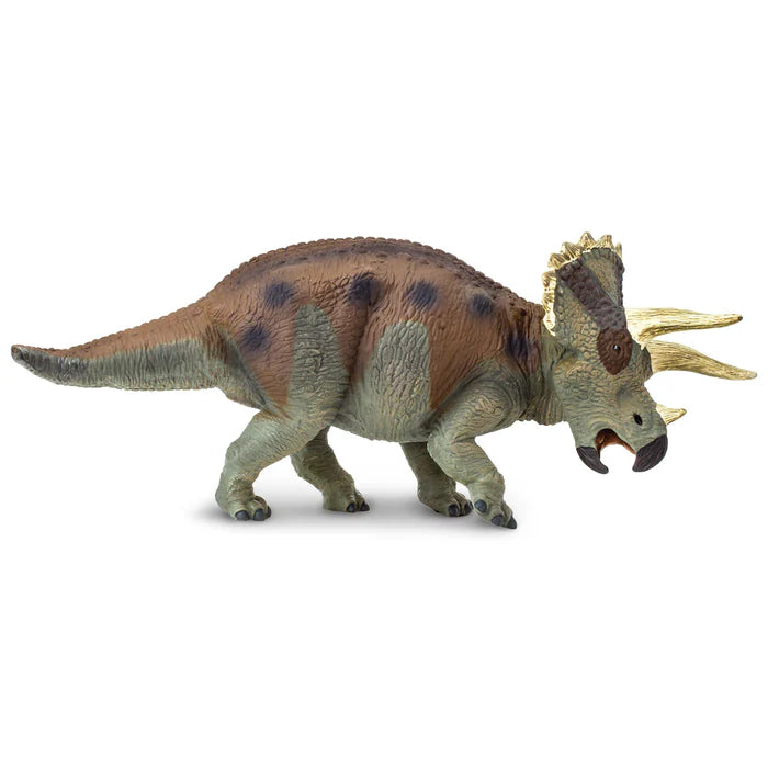 Triceratops