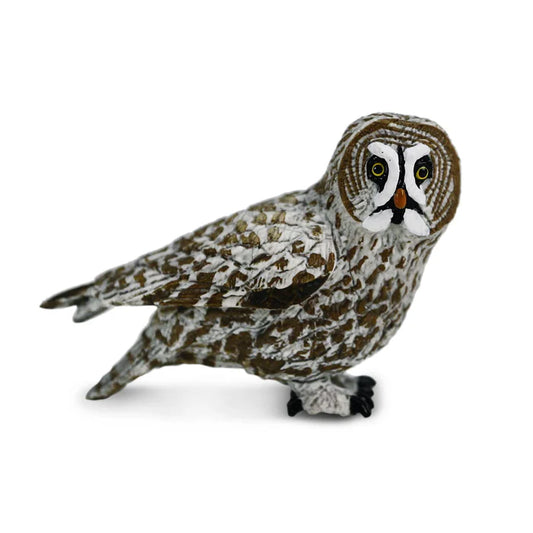 Great Grey Owl