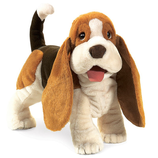 Basset Hound Dog